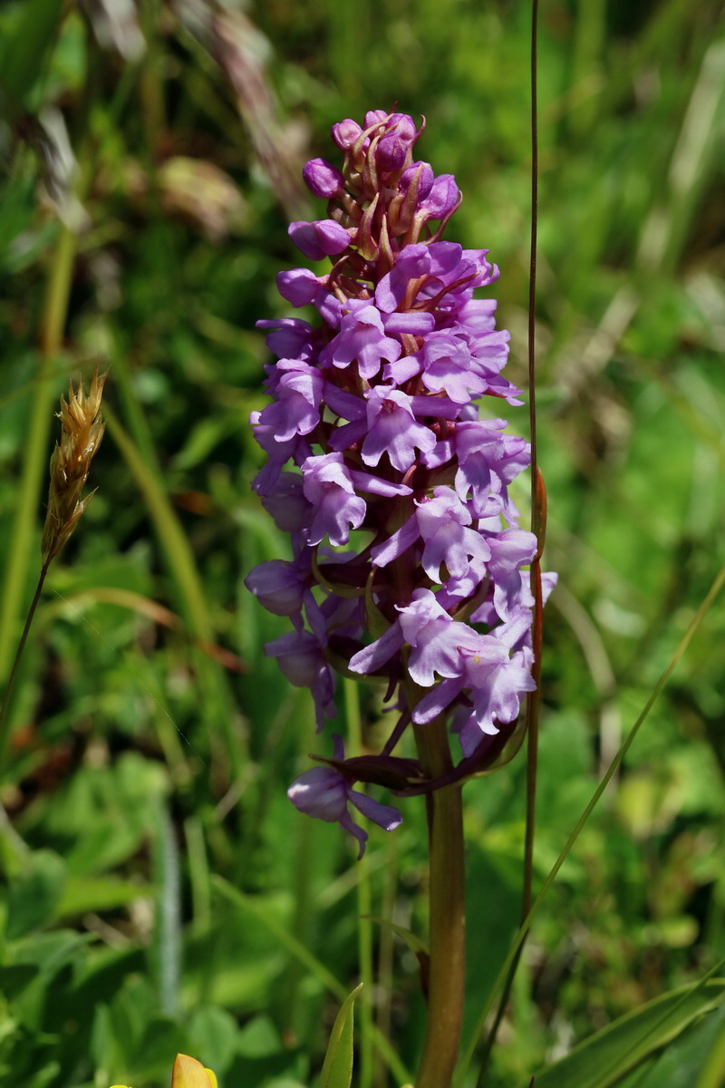 2017_07_05_038081p_Bildgr��e �ndern