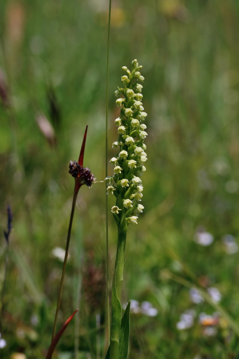 2017_07_05_038097p_Bildgr��e �ndern