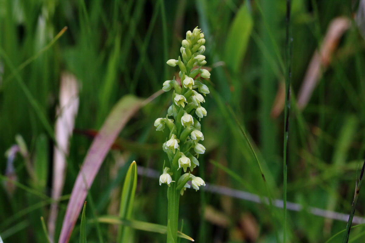 2017_07_05_038110p_Bildgr��e �ndern