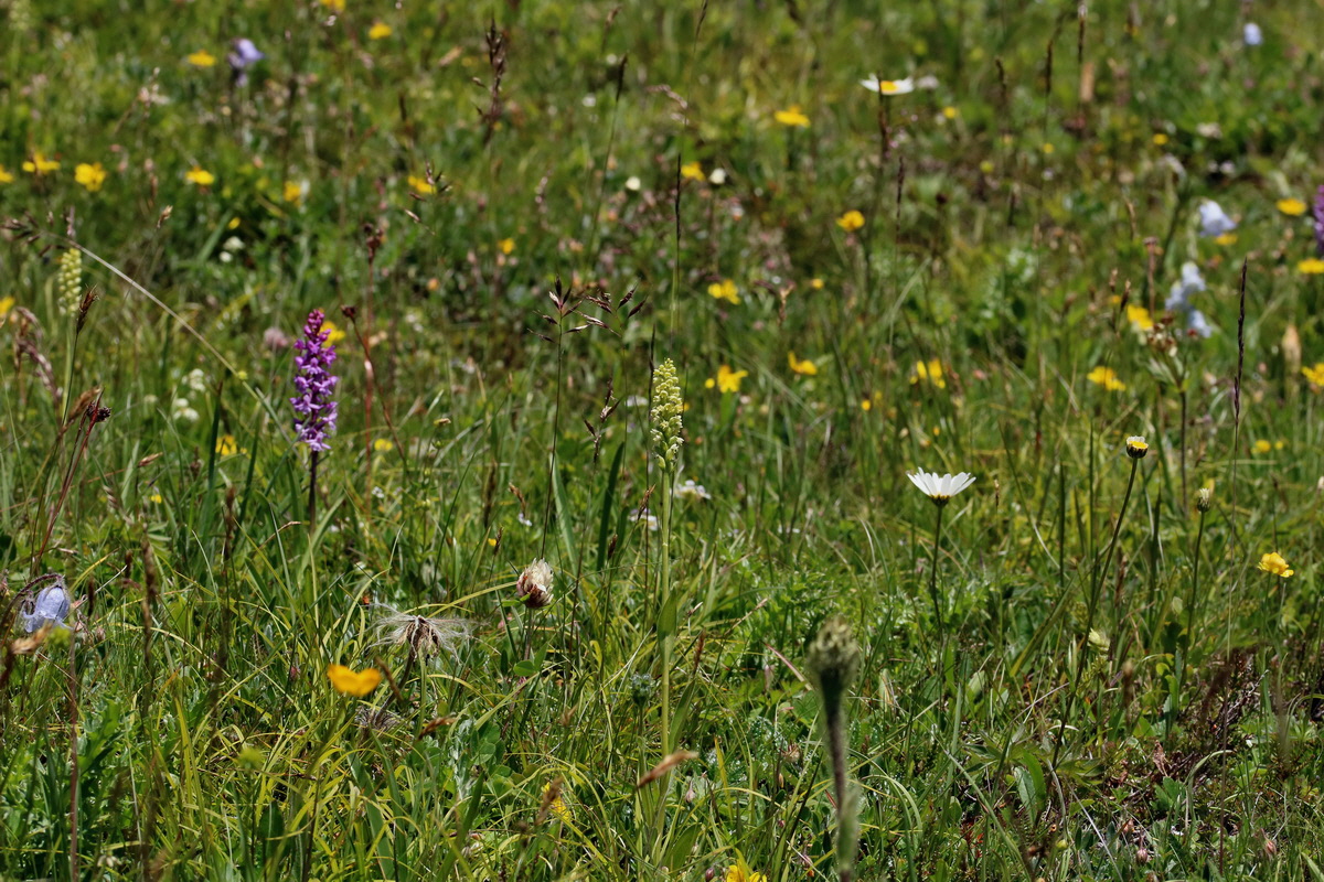 2017_07_05_038119p_Bildgr��e �ndern