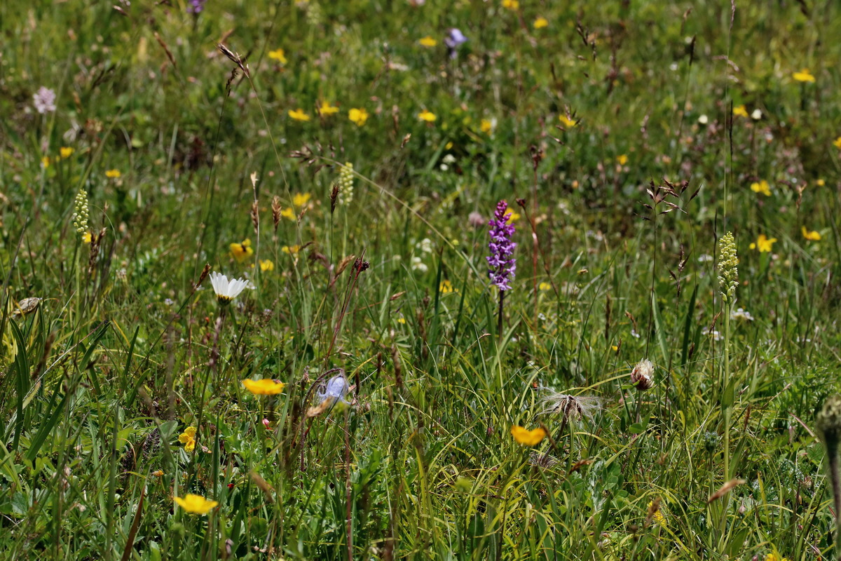 2017_07_05_038124p_Bildgr��e �ndern