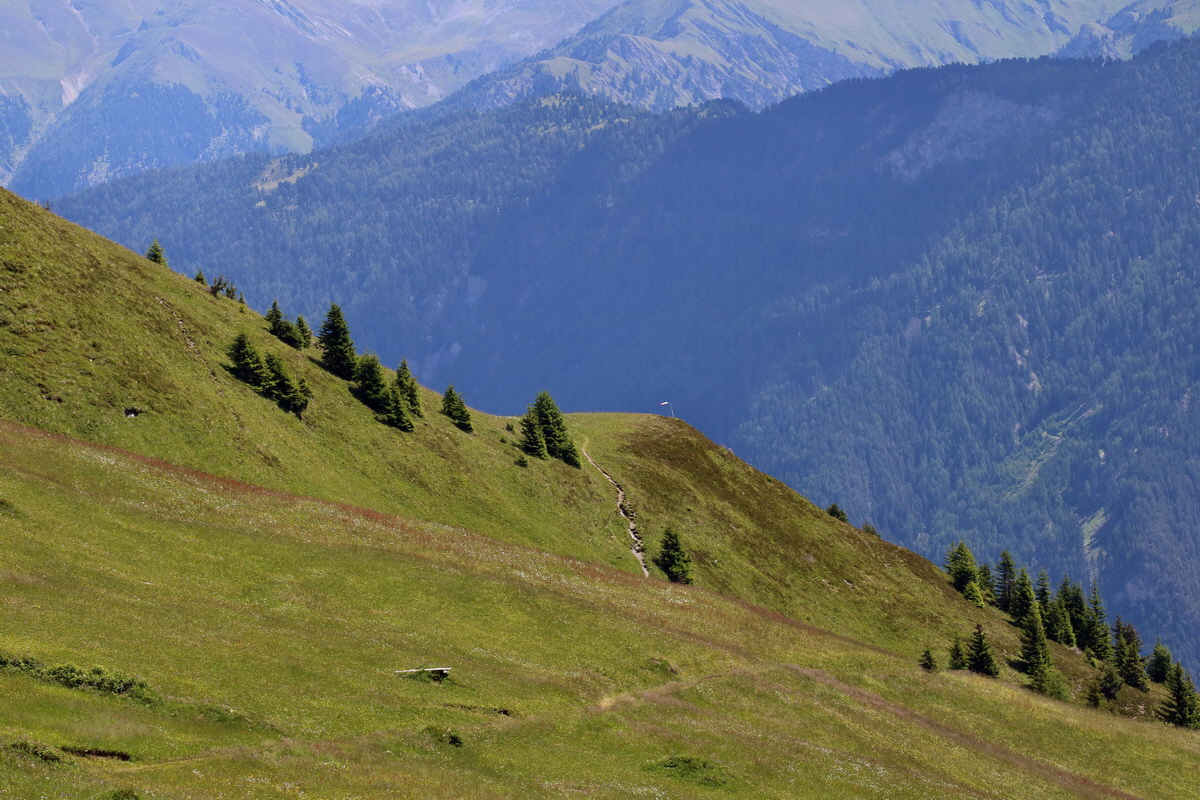 2017_07_05_038139p_Bildgr��e �ndern