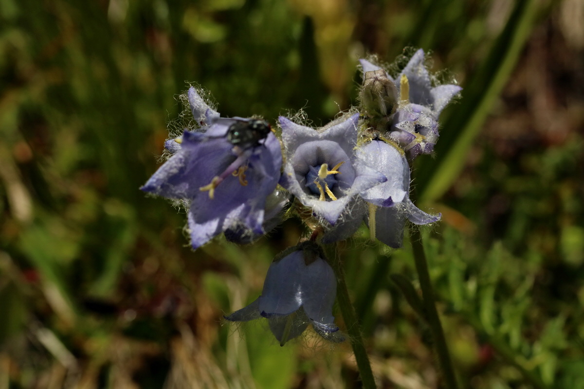 2017_07_05_038148p_Bildgr��e �ndern