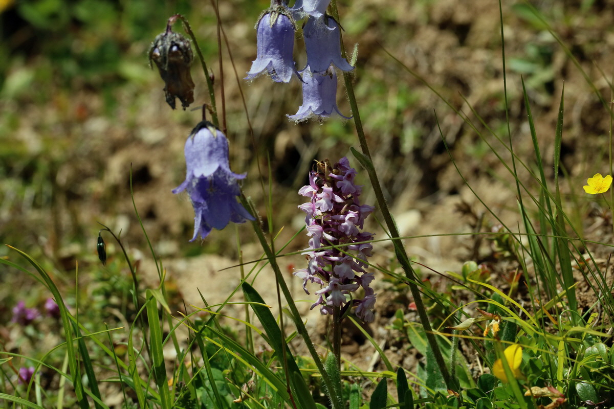 2017_07_05_038154p_Bildgr��e �ndern