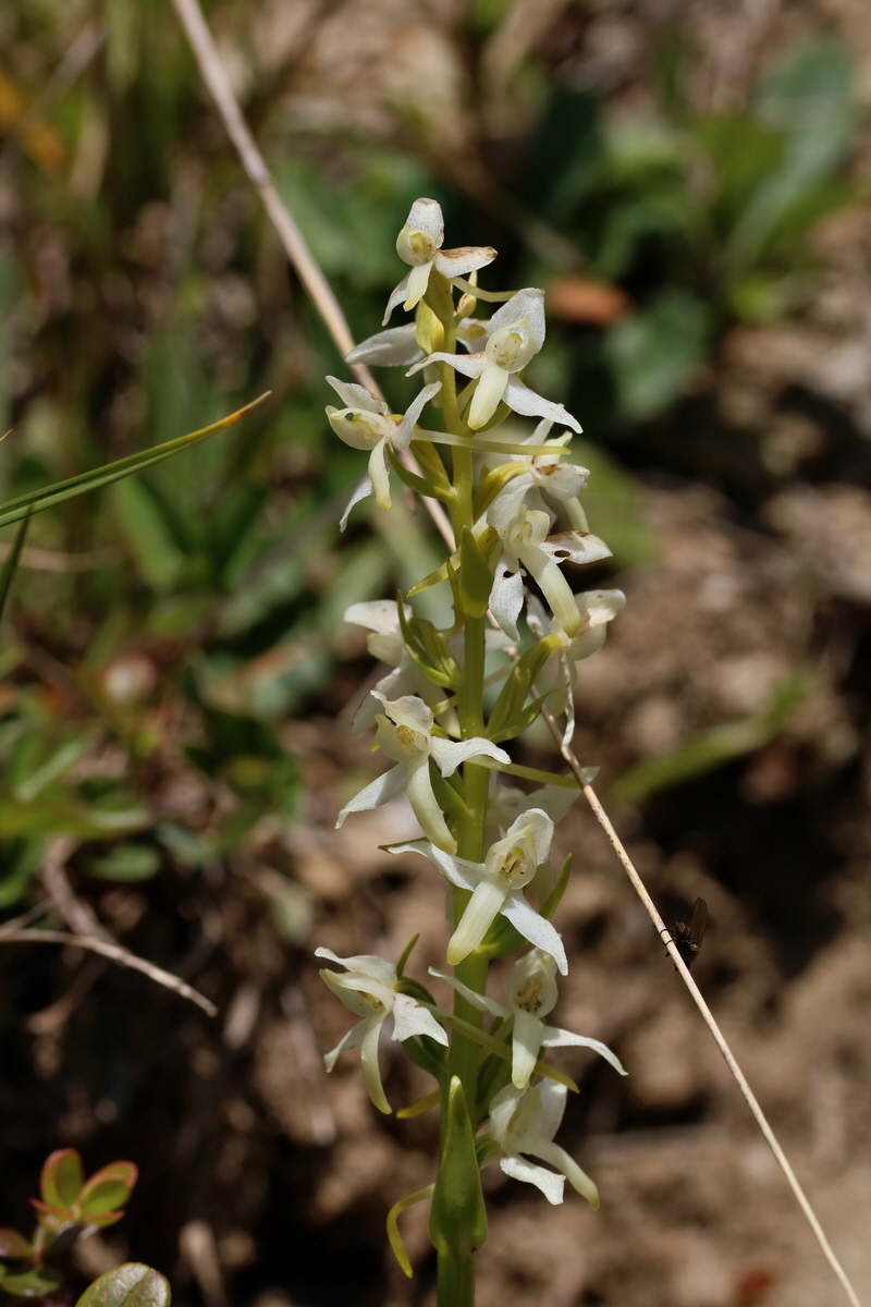 2017_07_05_038155p_Bildgr��e �ndern