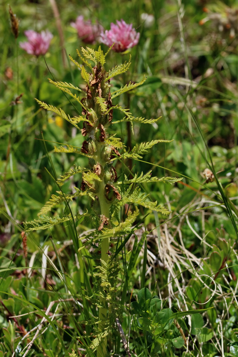 2017_07_05_038161p_Bildgr��e �ndern