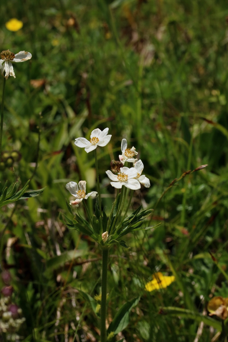 2017_07_05_038165p_Bildgr��e �ndern