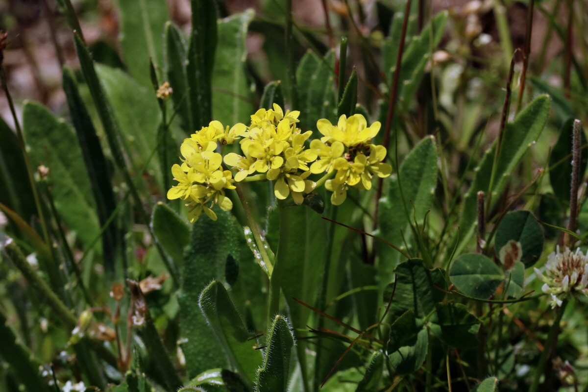 2017_07_05_038177p_Bildgr��e �ndern