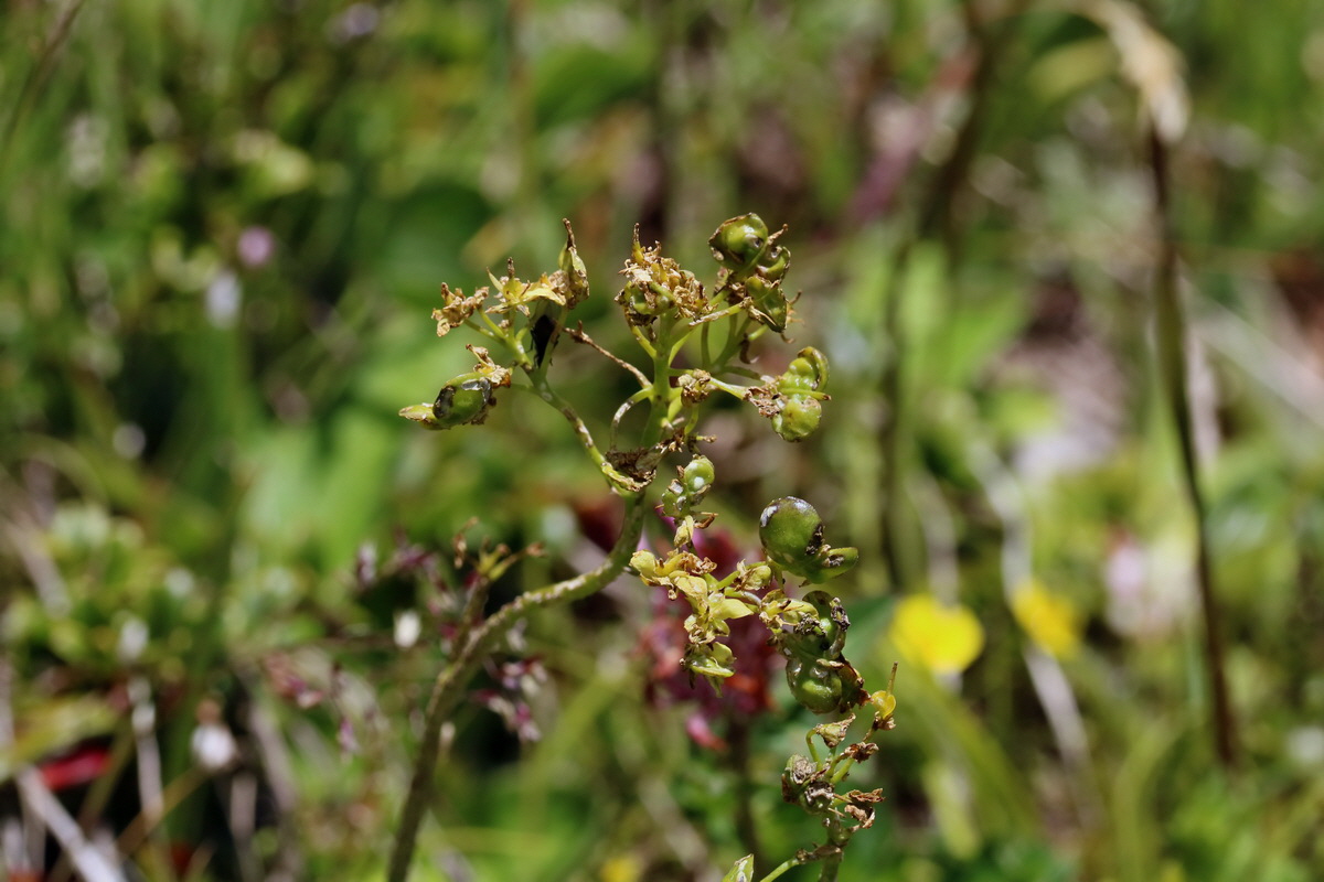 2017_07_05_038178p_Bildgr��e �ndern