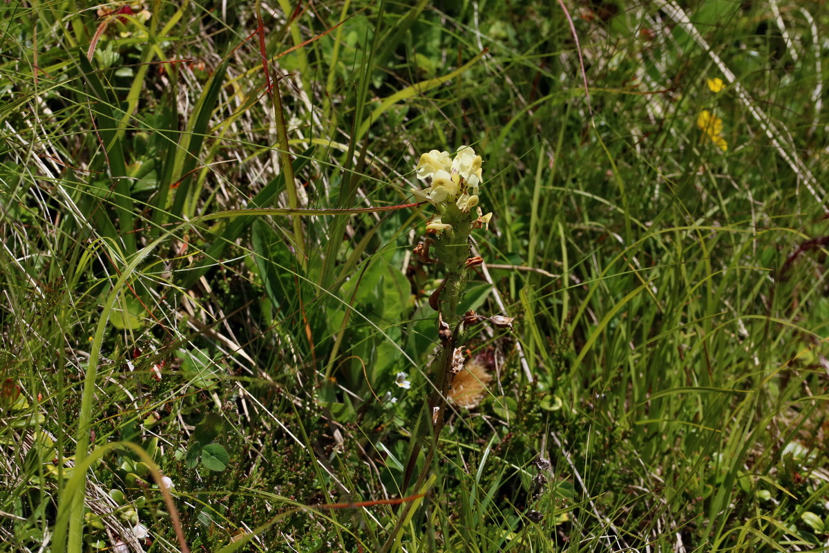 2017_07_05_038181p_Bildgr��e �ndern