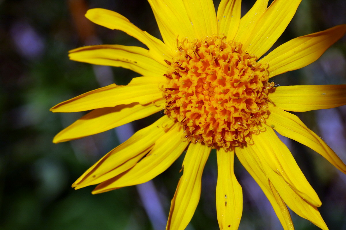 2017_07_05_038182p_Bildgr��e �ndern