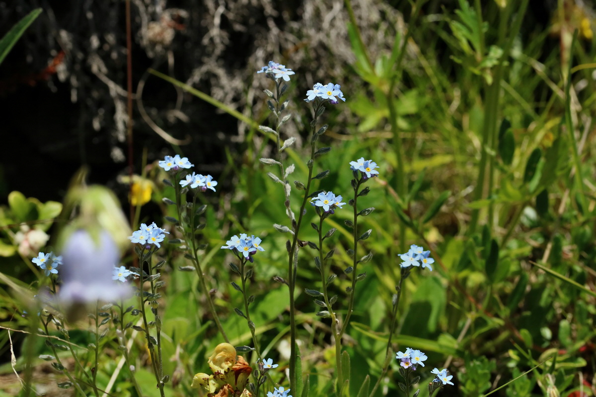 2017_07_05_038186p_Bildgr��e �ndern