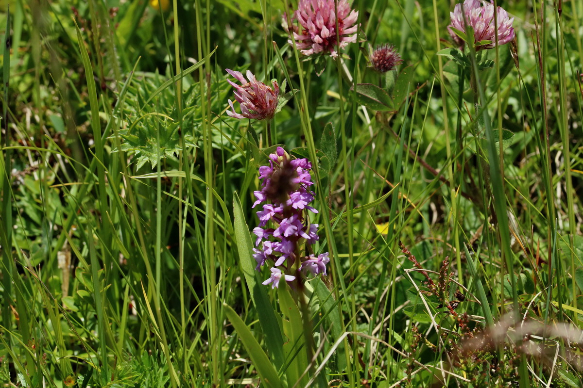 2017_07_05_038189p_Bildgr��e �ndern