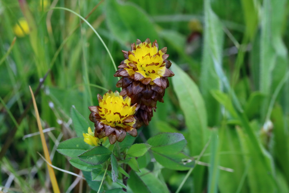 2017_07_05_038191p_Bildgr��e �ndern