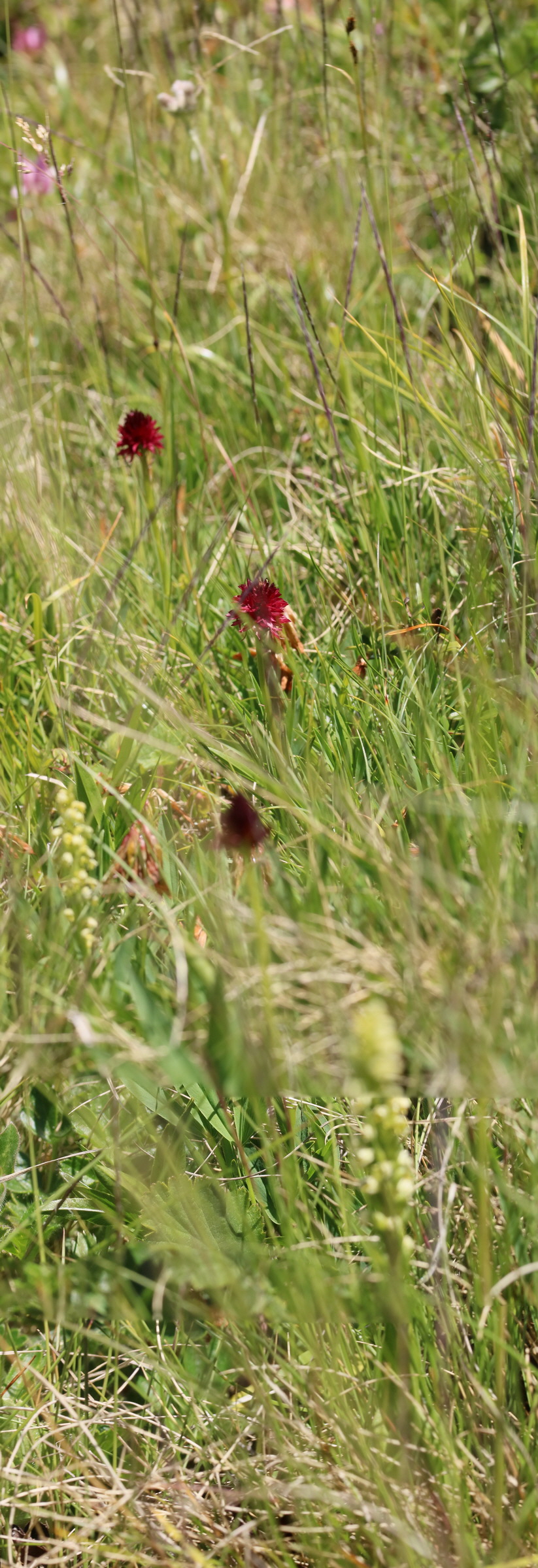 [Group 5]-2017_07_06_038278_2017_07_06_038289-12 images_Bildgr��e �ndern