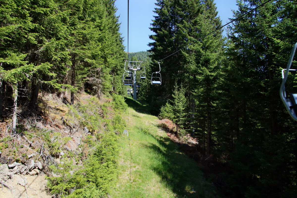 2017_07_06_038208p_Bildgr��e �ndern