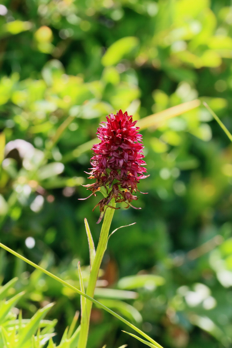 2017_07_06_038272p_Bildgr��e �ndern