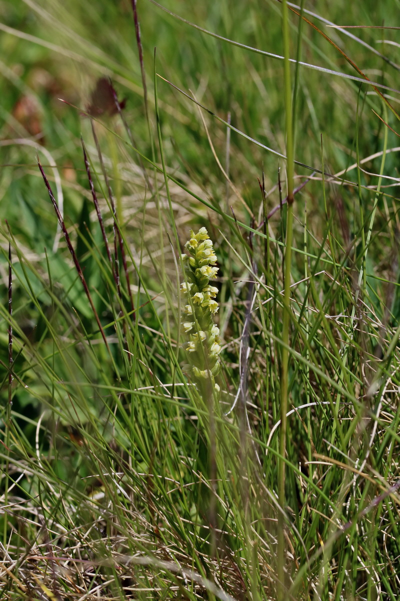 2017_07_06_038281p_Bildgr��e �ndern