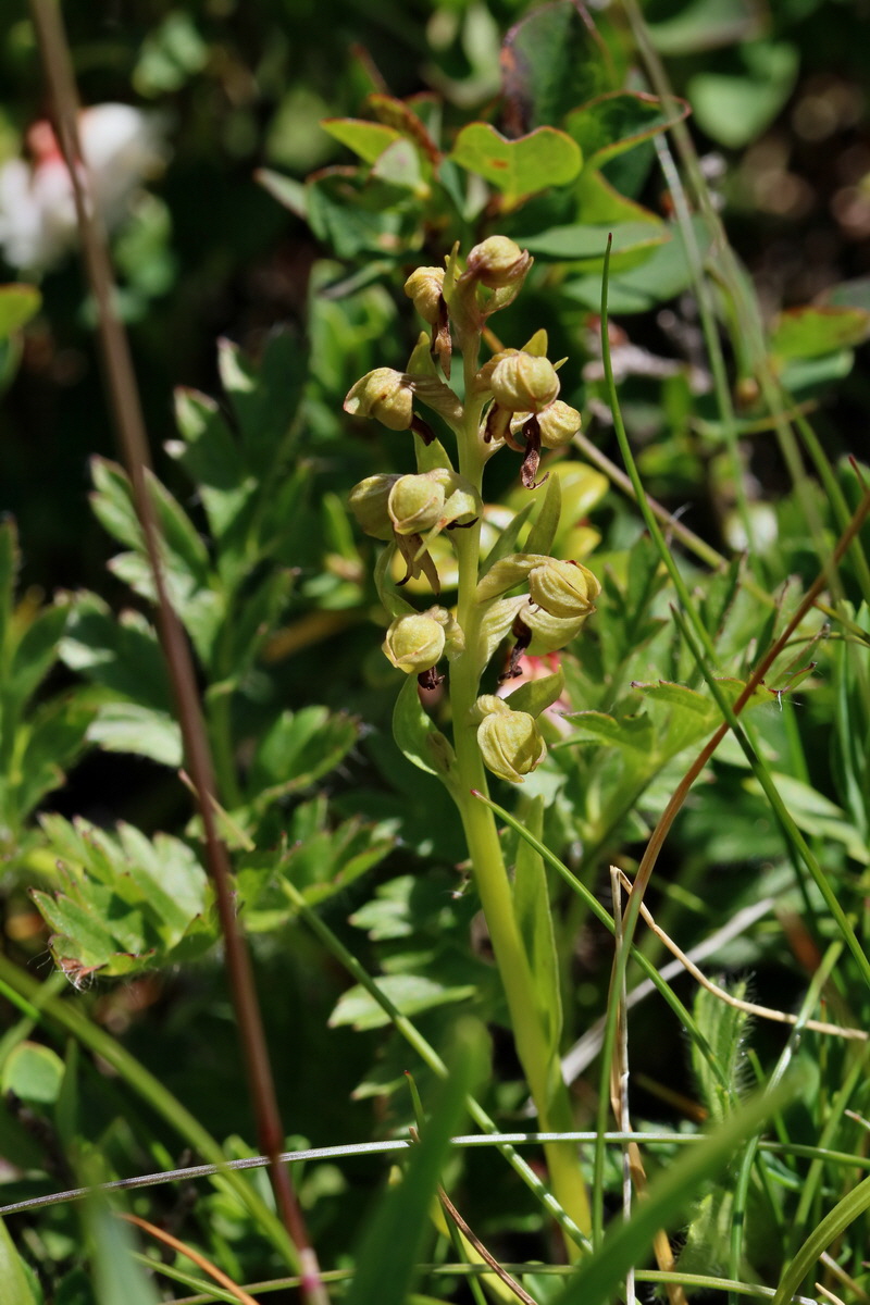 2017_07_06_038290p_Bildgr��e �ndern