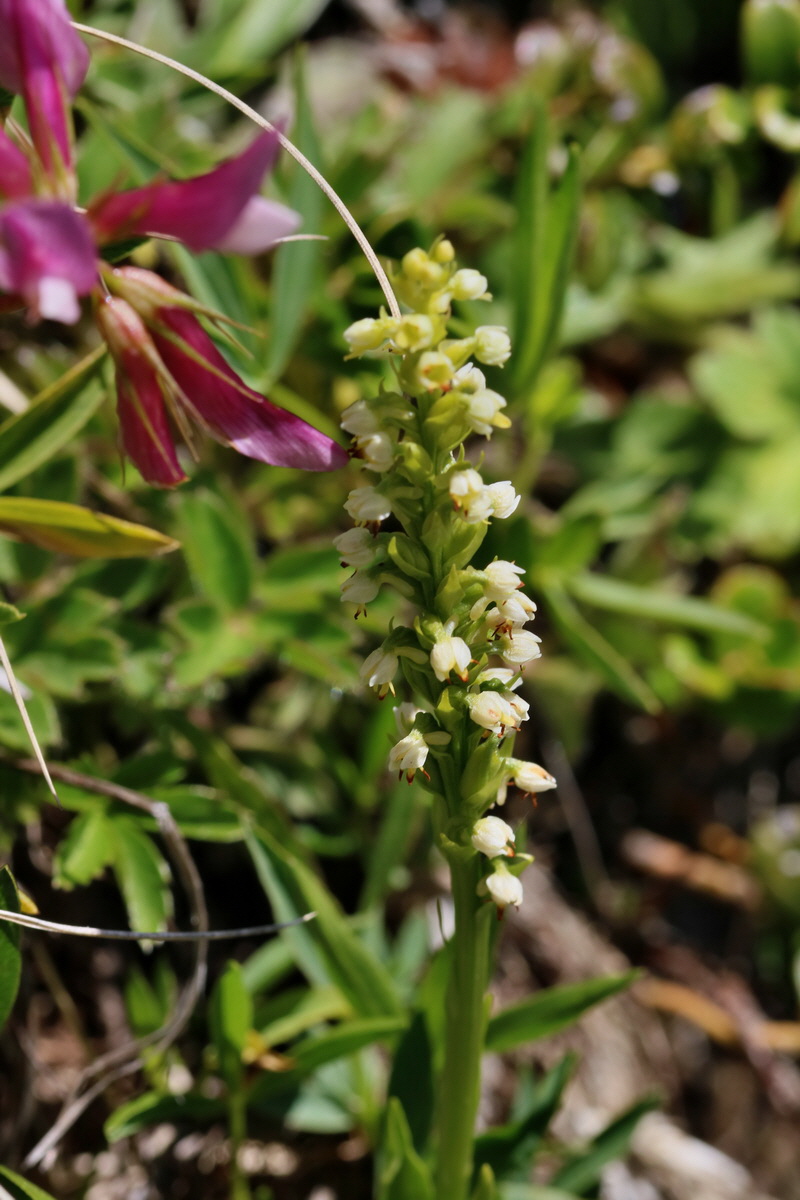 2017_07_06_038310p_Bildgr��e �ndern