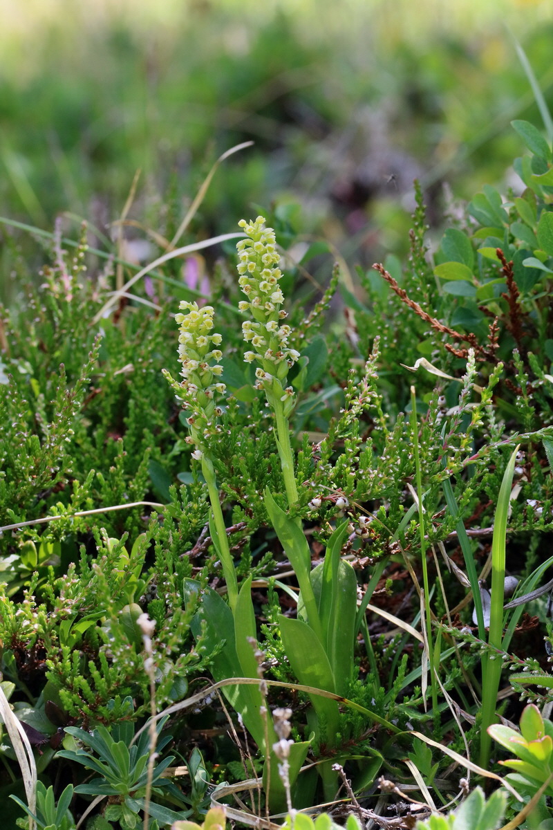 2017_07_06_038315p_Bildgr��e �ndern