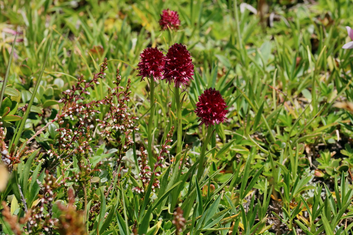 2017_07_06_038322p_Bildgr��e �ndern