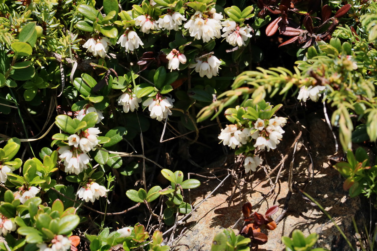 2017_07_06_038326p_Bildgr��e �ndern