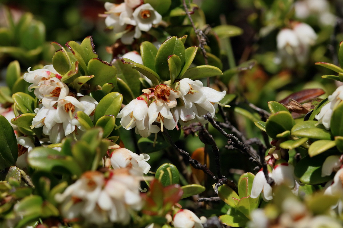 2017_07_06_038329p_Bildgr��e �ndern