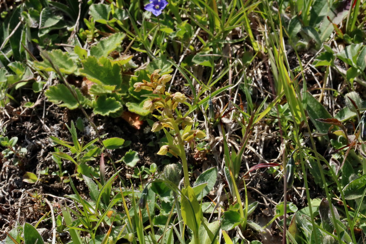 2017_07_06_038397p_Bildgr��e �ndern