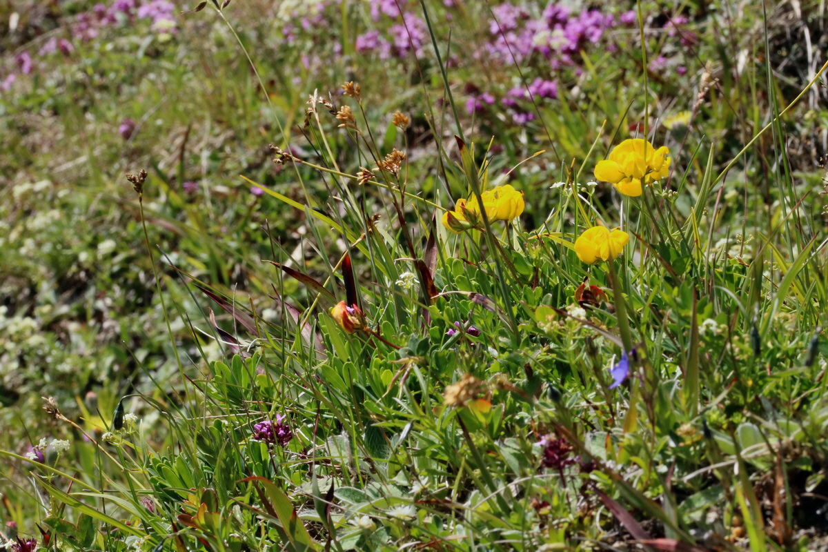 2017_07_06_038401p_Bildgr��e �ndern