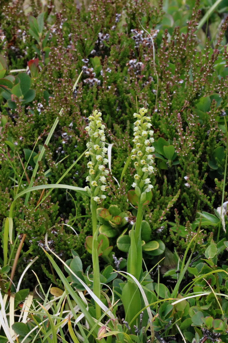 2017_07_06_038405p_Bildgr��e �ndern