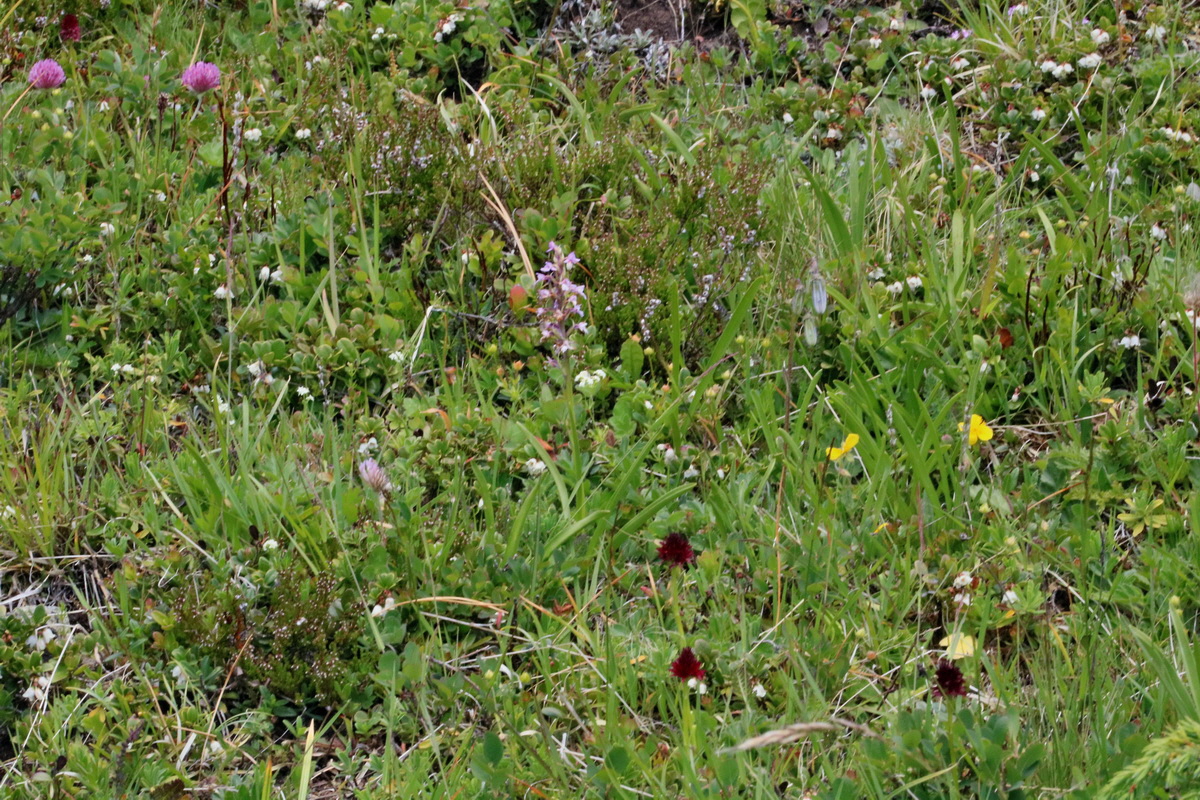 2017_07_06_038411p_Bildgr��e �ndern