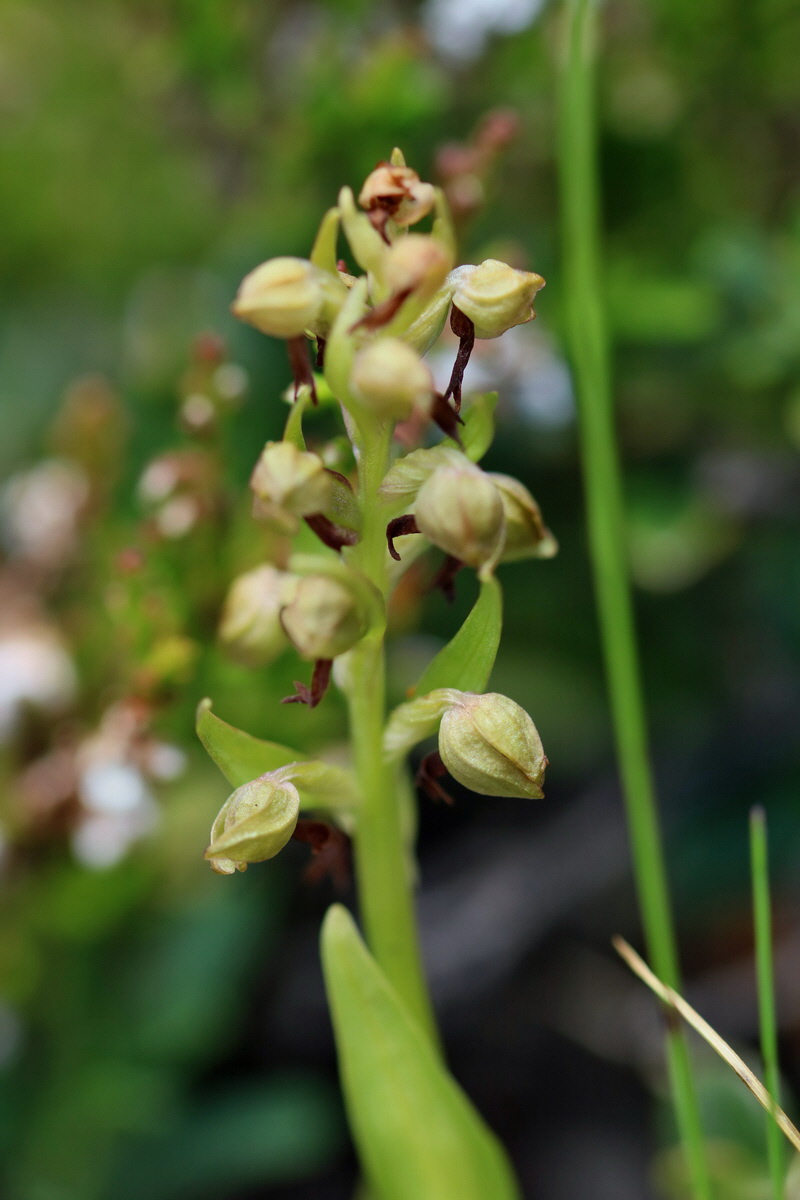 2017_07_06_038418p_Bildgr��e �ndern