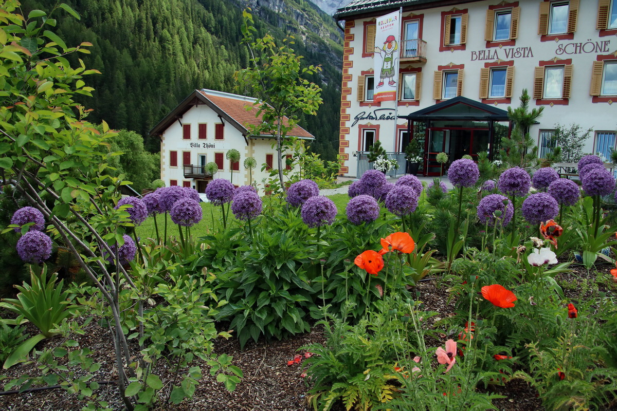 2017_07_06_038458p_Bildgr��e �ndern