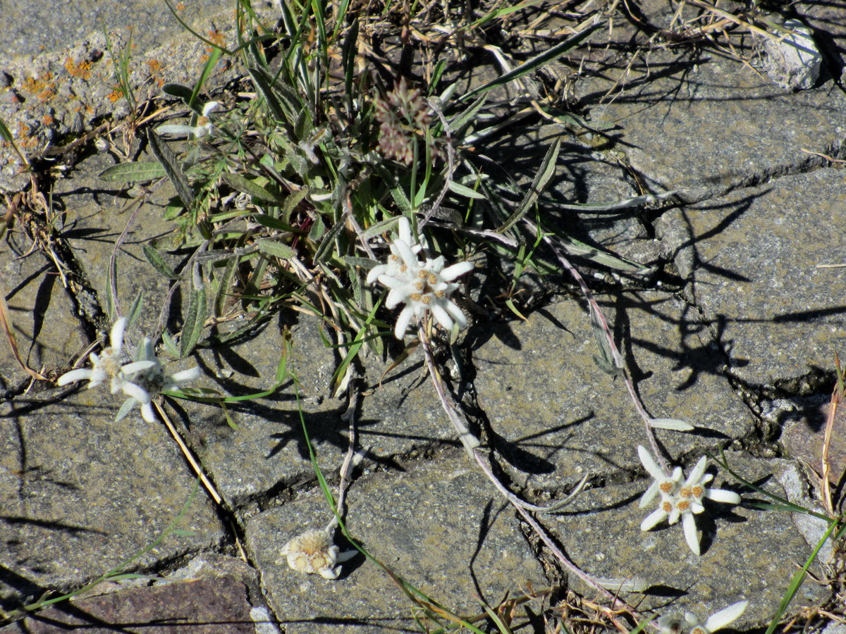 IMG_0650p_Bildgr��e �ndern