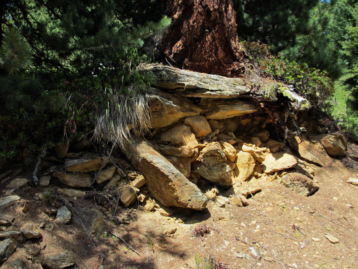 IMG_0668p_Bildgr��e �ndern