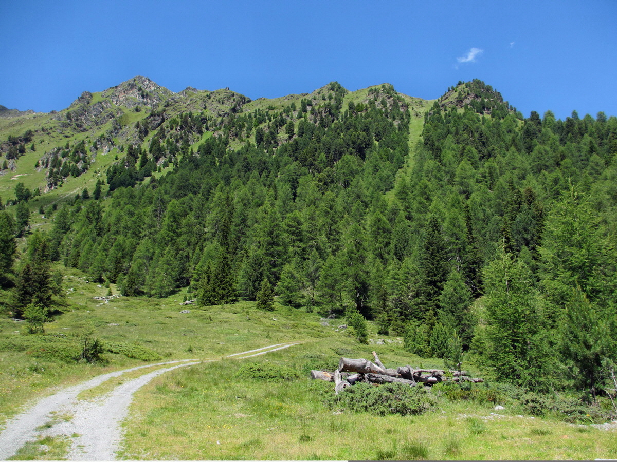 IMG_0671p_Bildgr��e �ndern