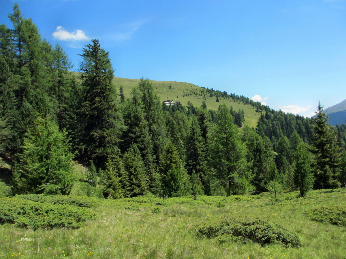 IMG_0672p_Bildgr��e �ndern