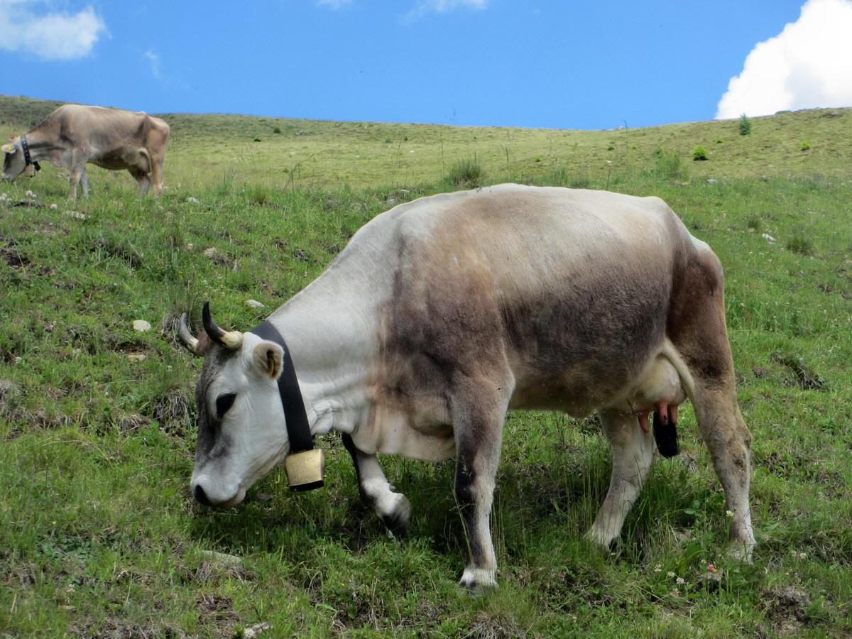 IMG_0678p_Bildgr��e �ndern