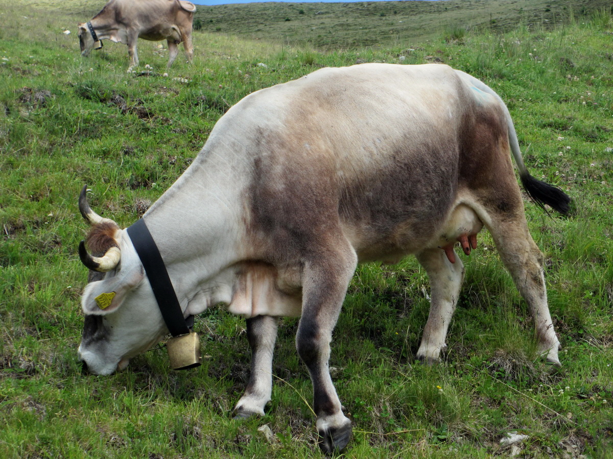 IMG_0683p_Bildgr��e �ndern