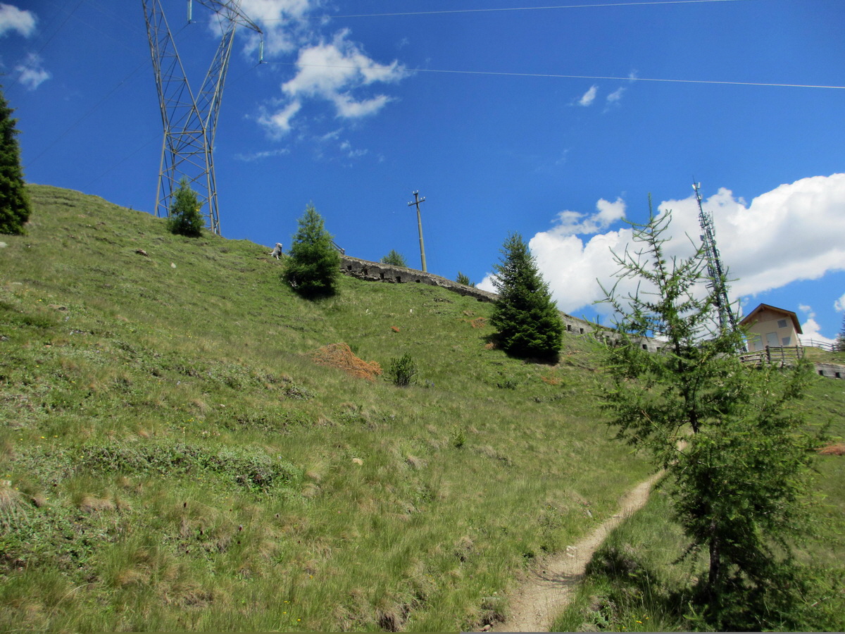 IMG_0695p_Bildgr��e �ndern