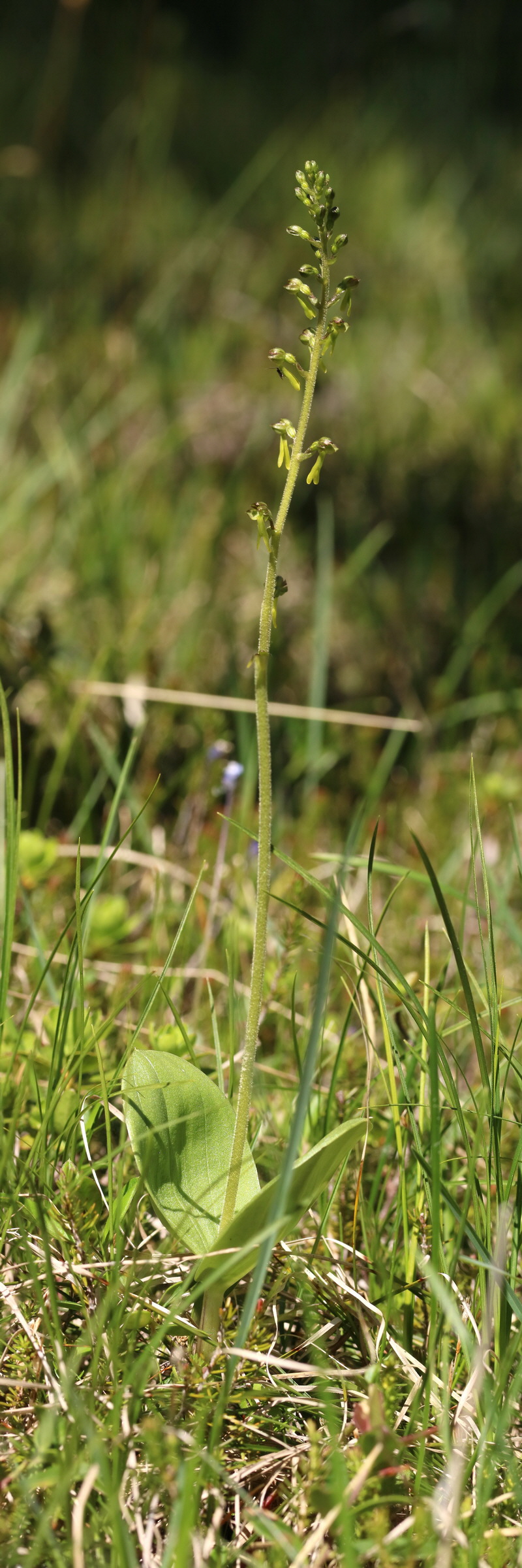 [Group 1]-2017_07_07_038506_2017_07_07_038510-2 images_Bildgr��e �ndern