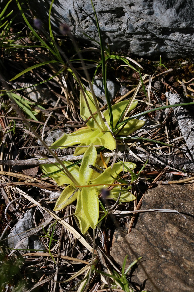 2017_07_07_038488p_Bildgr��e �ndern