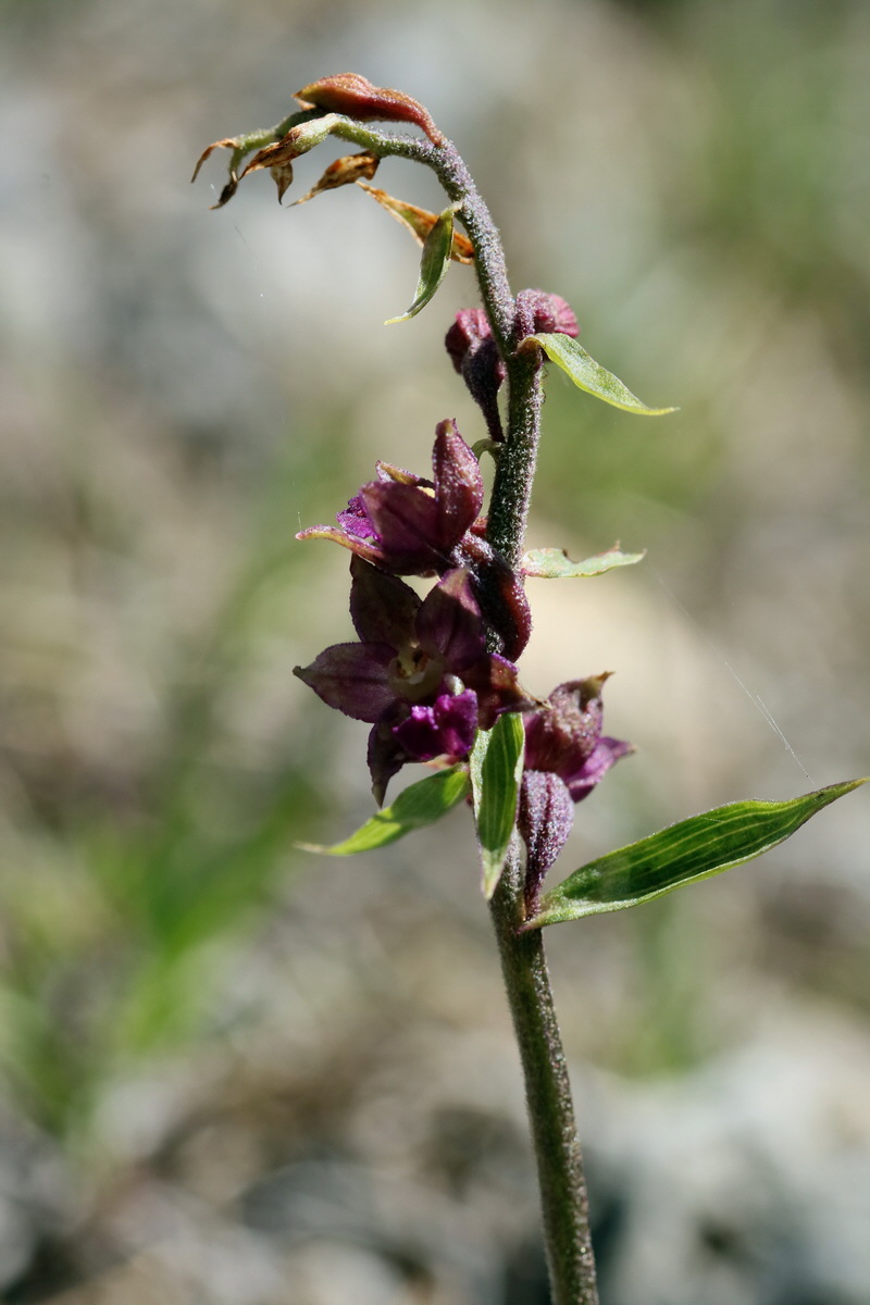 2017_07_07_038502p_Bildgr��e �ndern