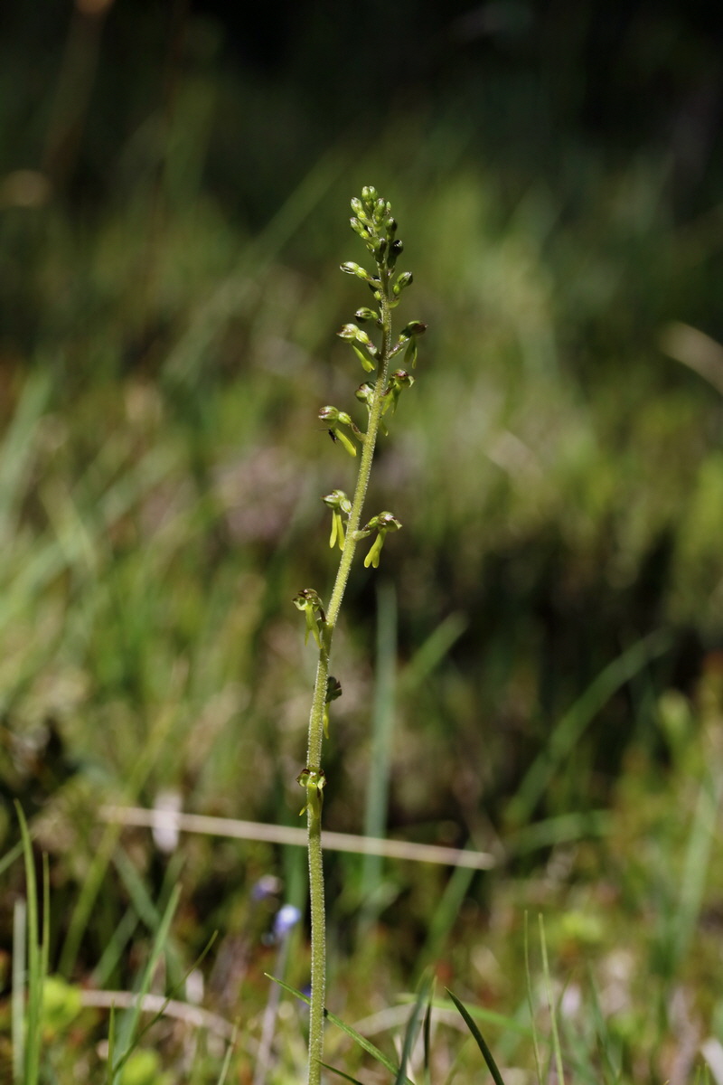 2017_07_07_038510p_Bildgr��e �ndern