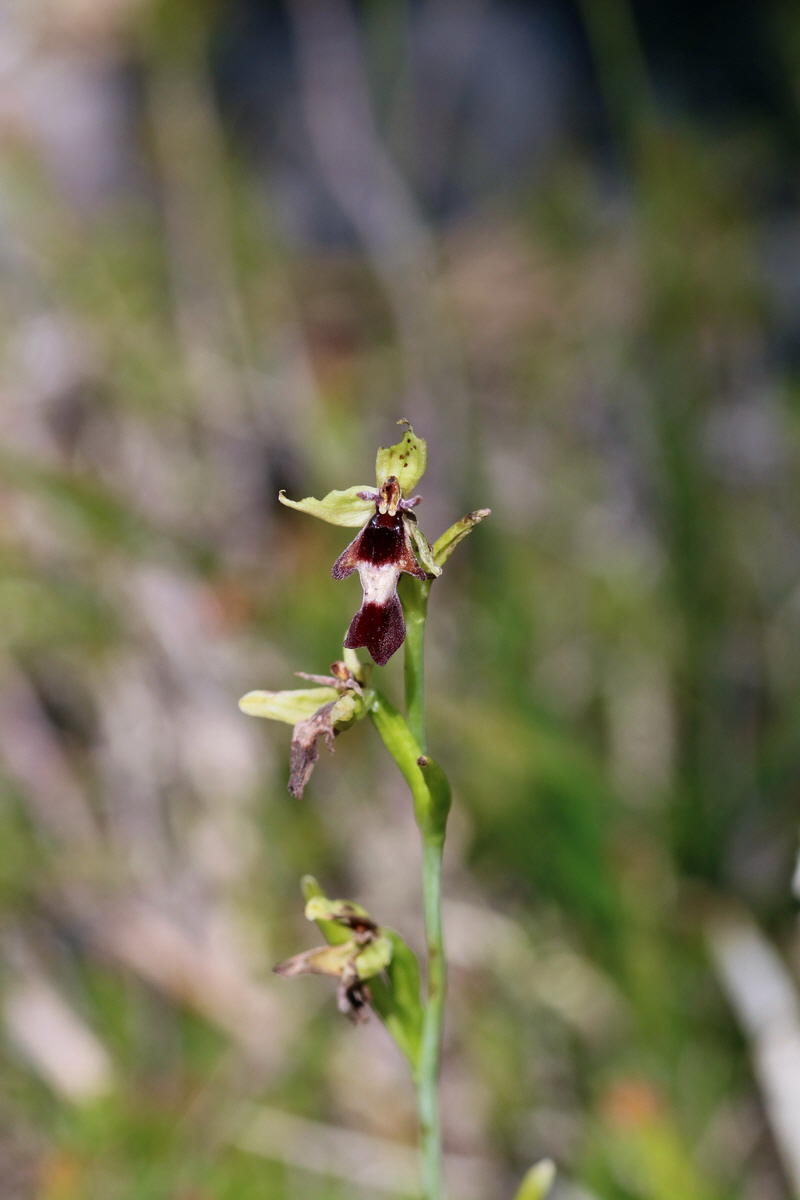 2017_07_07_038514p_Bildgr��e �ndern