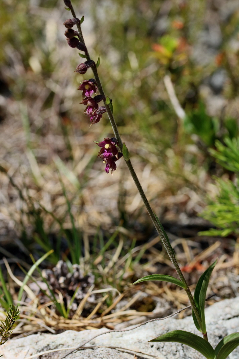 2017_07_07_038521p_Bildgr��e �ndern