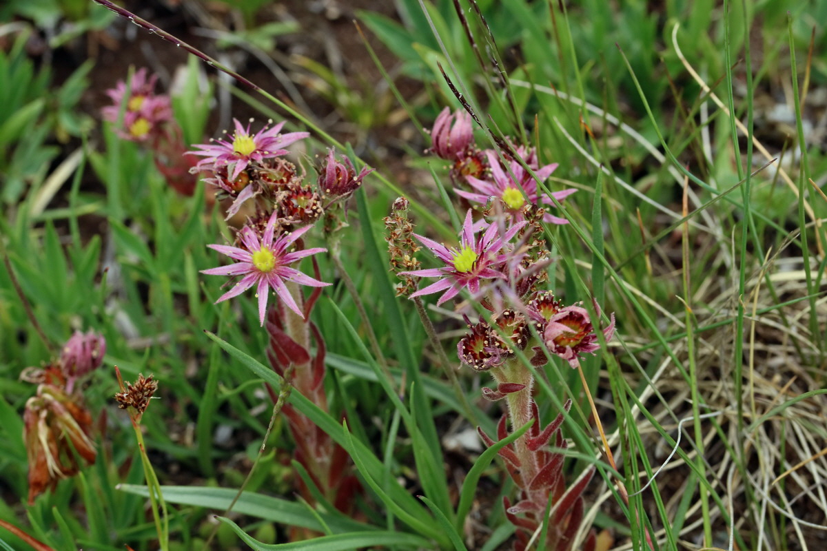 2017_07_07_038527p_Bildgr��e �ndern