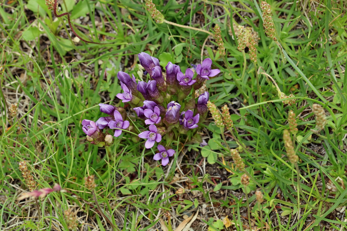 2017_07_07_038529p_Bildgr��e �ndern