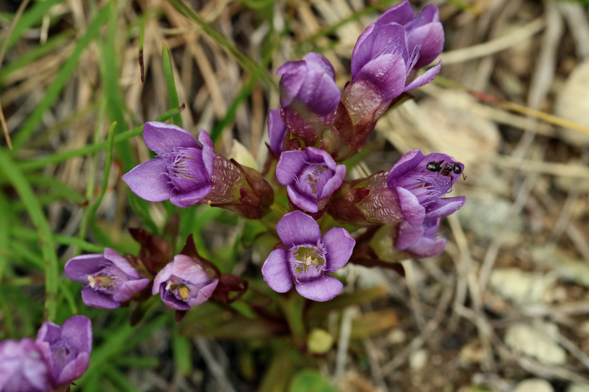 2017_07_07_038533p_Bildgr��e �ndern